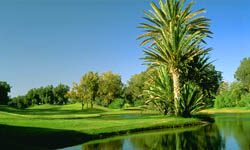 le golfe